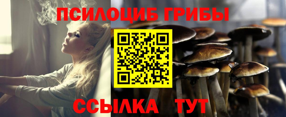 Ялта  Галлюциногенные грибы Psilocybine cubensis  хочу наркоту  Вход с VPN 